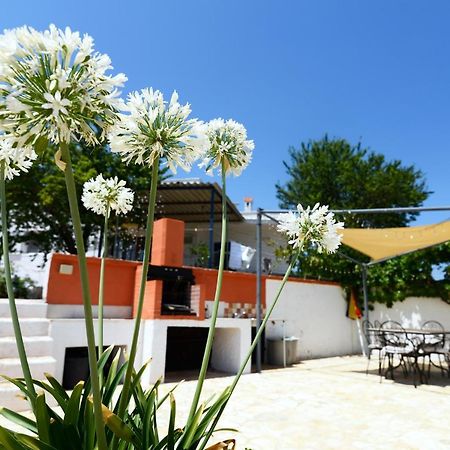 Villetta Panoramica Ostuni Εξωτερικό φωτογραφία
